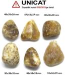 Palm Stone Aragonit Maro Natural - 40-53 x 34-44 x 24-35 mm - (XXL) - 1 Buc