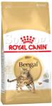 Royal Canin Bengal Adult 2x400g - Bengáli felnõtt macska száraz táp
