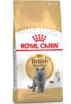 Royal Canin British Shorthair Adult 2x400g - Brit rövidszõrű felnõtt macska száraz táp
