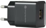 everActive SC100B