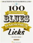 MS 100 Authentic Blues Harmonica Licks