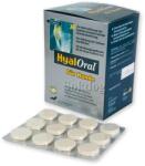 Vetri-Care Hyaloral tabletta 12db/levél