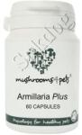 Vetri-Care Armillaria Plus gyógygomba kapszula 60db/doboz
