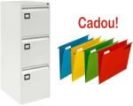  CLASIFICATOR METALIC CU 3 SERTARE X272+CADOU! ! ! (10 Dosare suspendabile Bantex) (9611377P) Dulap arhivare