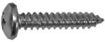  Lemezcsavar D-fejű 3, 5x13 DIN 7981 horganyzott (KOE-79813513)