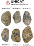 Palm Stone Opal Dendritric Natural - 49-66 x 33-43 x 18-35 mm - (XXL) - Unicat