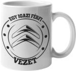  Egy igazi férfi CITROENT vezet (egy-igazi-ferfi-citroent-vezet-bogre)