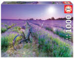 Educa 1000 db-os puzzle - Levendulamező a napsütésben (19255) (19255)