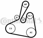Continental Ctam Set curea transmisie cu caneluri CONTINENTAL CTAM 6PK1502 EXTRA K1 (6PK1502 EXTRA K1) - automobilus