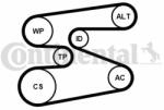 Continental Ctam Set curea transmisie cu caneluri CONTINENTAL CTAM 6PK1698K1 - automobilus