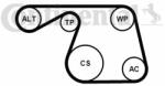 Continental Ctam Set curea transmisie cu caneluri CONTINENTAL CTAM 6PK1310K1 (6PK1310K1) - automobilus