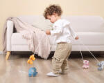 Viga Toys Jucarie de tras elefant, polarb viga (44004) - bekid