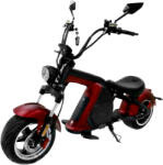 SXT Scooters Grizzy