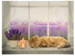 Nexos Falikép macska az ablakon 1 LED 30 x 40 cm - idilego