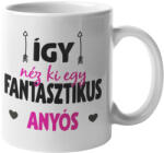  Így néz ki egy fantasztikus anyós bögre (igy-nez-ki-egy-fantasztikus-anyos-bogre)
