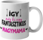  Így néz ki egy fantasztikus nagymama bögre (igy-nez-ki-egy-fantasztikus-nagymama-bogre)