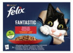 Nesle Felix Fantastic Multipack Házias Válogatás Aszpikban 12x85g