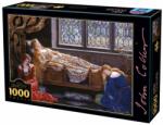 D-Toys John Collier - The Sleeping Beauty 1000 db-os (73822)