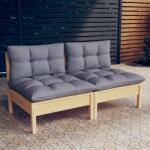 vidaXL Canapea de grădină cu 2 locuri, cu perne gri, lemn masiv pin (3095991) - vidaxl