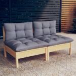 vidaXL Canapea de grădină cu 2 locuri, cu perne gri, lemn masiv pin (3095991)