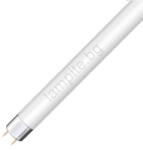 NBB Флуоресцентна тръба T8 G13/15W/90V 6500K 43, 8 cm (N108106)