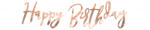 PartyDeco Banner roz-auriu- Happy Birthday 16, 5 x 62cm