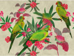 AA Design Fototapet exotic cu papagali si flori The Wall (382541)