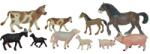Miniland Set de 10 figurine animale domestice cu puii (ML27430) Figurina