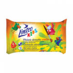 Linteo Kids Creative 15 db