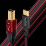 AudioQuest Cablu USB B - USB C AudioQuest Cinnamon 3 m