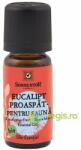 SONNENTOR Ulei Esential Eucalipt Proaspat pentru Sauna Ecologic/Bio 10ml