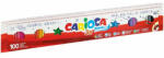 CARIOCA Joy kimosható filctoll szett 100 db-os - Carioca (41019C)