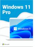 Microsoft Windows 11 Pro 64bit ENG (HAV-00163)
