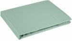 EUROFIRANY Nova3 pamut-szatén gumis lepedő Menta 100x200 cm +25 cm