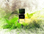 Gritti Decimo EDP 100 ml Parfum