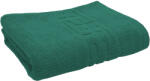 Ralex Pucioasa Prosop baie de față 50x90 cm Bumbac 100%, Greek Border 500 grame/mp, Verde Prosop