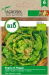 AGROSEL Seminte BIO salata Regina di Maggio, 3 g, Agrosel