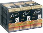 Cesar Cesar Pachet economic Tăvițe 48 x 150 g - Ragout