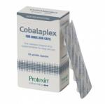 Protexin Cobalaplex kobalamin vagy folsav hiány esetén kutyáknak és macskáknak 60 db