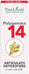 PlantExtrakt - Polygemma 14 (Articulatii detoxifiere) PlantExtrakt 50 ml - vitaplus