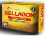 Sprint Pharma - Kellagon Sprint Pharma 30 capsule 252 mg - vitaplus