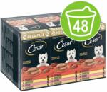 Cesar 48x150g Cesar tálcás nedves kutyatáp- Vidéki ragu