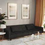 vidaXL Canapea extensibilă cu 2 locuri, 2 perne, negru, catifea (337457) Canapea