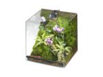 Eheim Терариум EHEIM Terra Style 70 nano (4570)