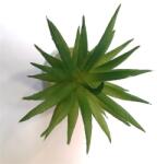  Művirág pozsgás növény, betűzős, 8x5cm