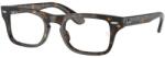 Ray-Ban Burbank Jr RY9083V 3887