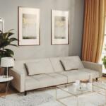 vidaXL Canapea extensibilă cu 2 locuri, 2 perne, gri deschis, catifea (337451) Canapea