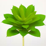  Pozsgás műnövény - kosarbolt - 643 Ft