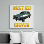printfashion PUBG - Best EU Driver - Vászonkép - Fehér (6623791)