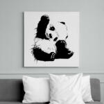 printfashion Panda maci - Vászonkép - Fehér (6627193)